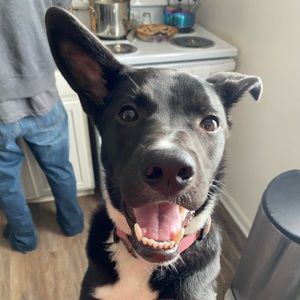 Meet your Posher, Amber